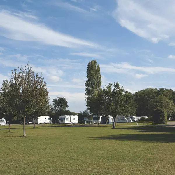 Untitled design (9).png